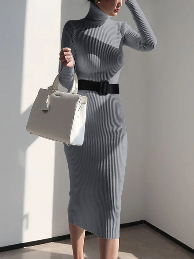 Elegant Turtleneck Sweater Dress