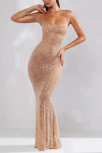 Alice | Shiny Embellished Mesh Maxi Dress